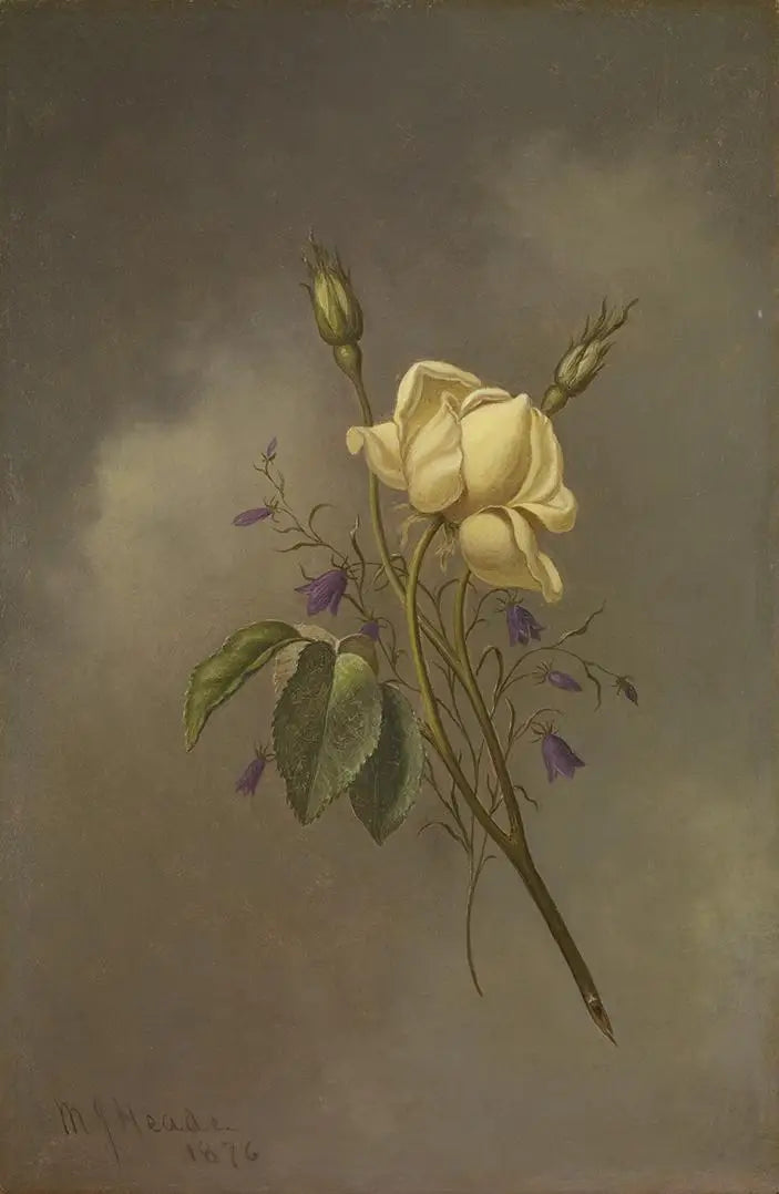 Keltainen ruusu pilvistä taivasta vasten - Martin Johnson Heade
