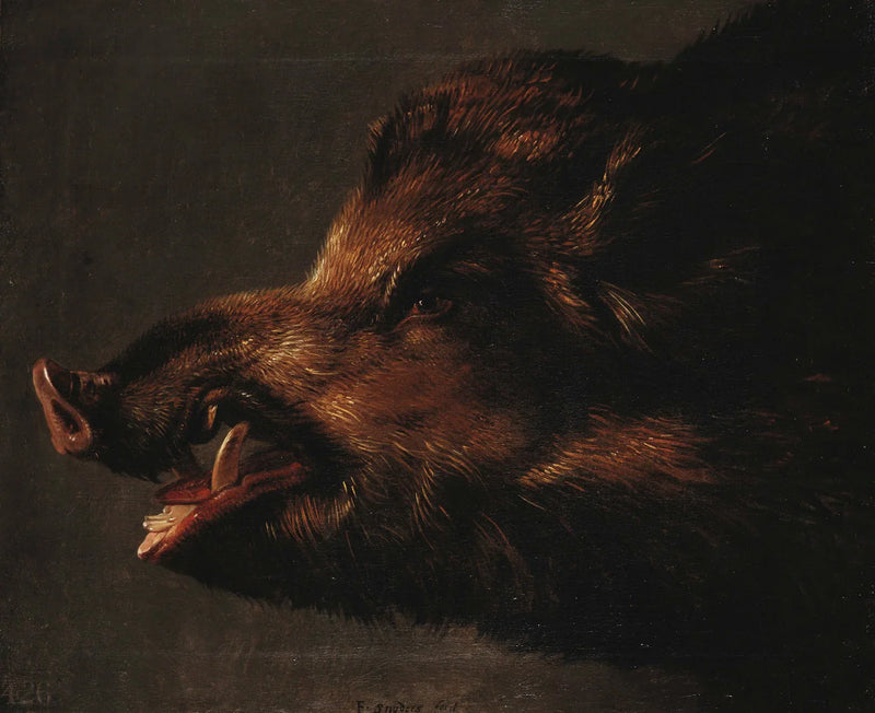 Une tête de sanglier - Frans Snyders