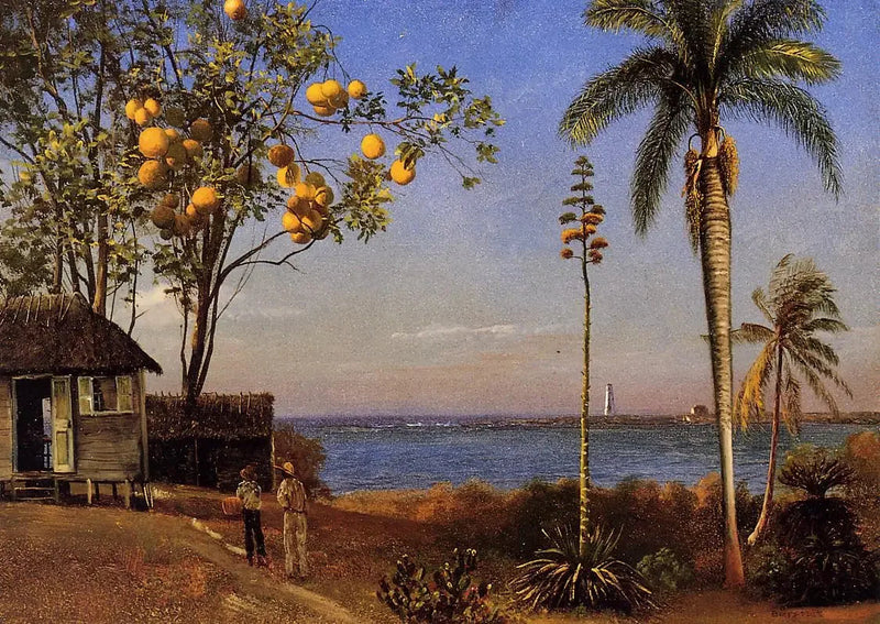Näkymä Bahamalta, öljy paperille kiinnitettynä kangaspohjalle, 48,58 x 35,24 cm - Albert Bierstadt