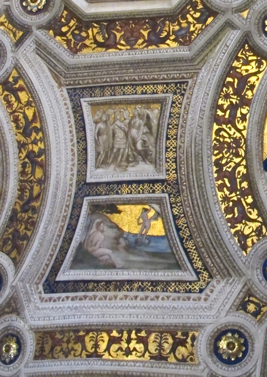 Toivo - Raphael Sanzio