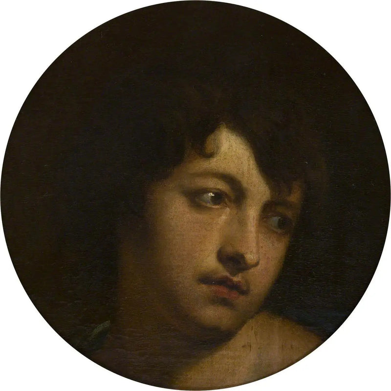 Van Dyck Pariisin roolissa - Antoine van Dyck