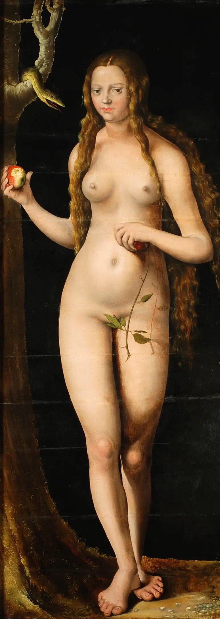 Veille - Lucas Cranach vanhempi