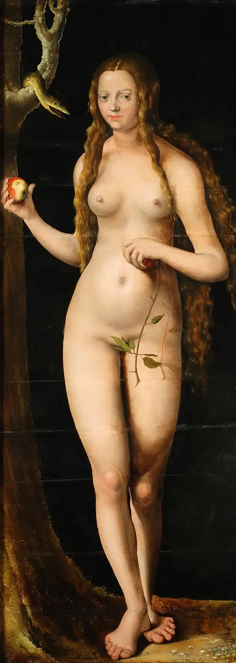 Veille - Lucas Cranach vanhempi