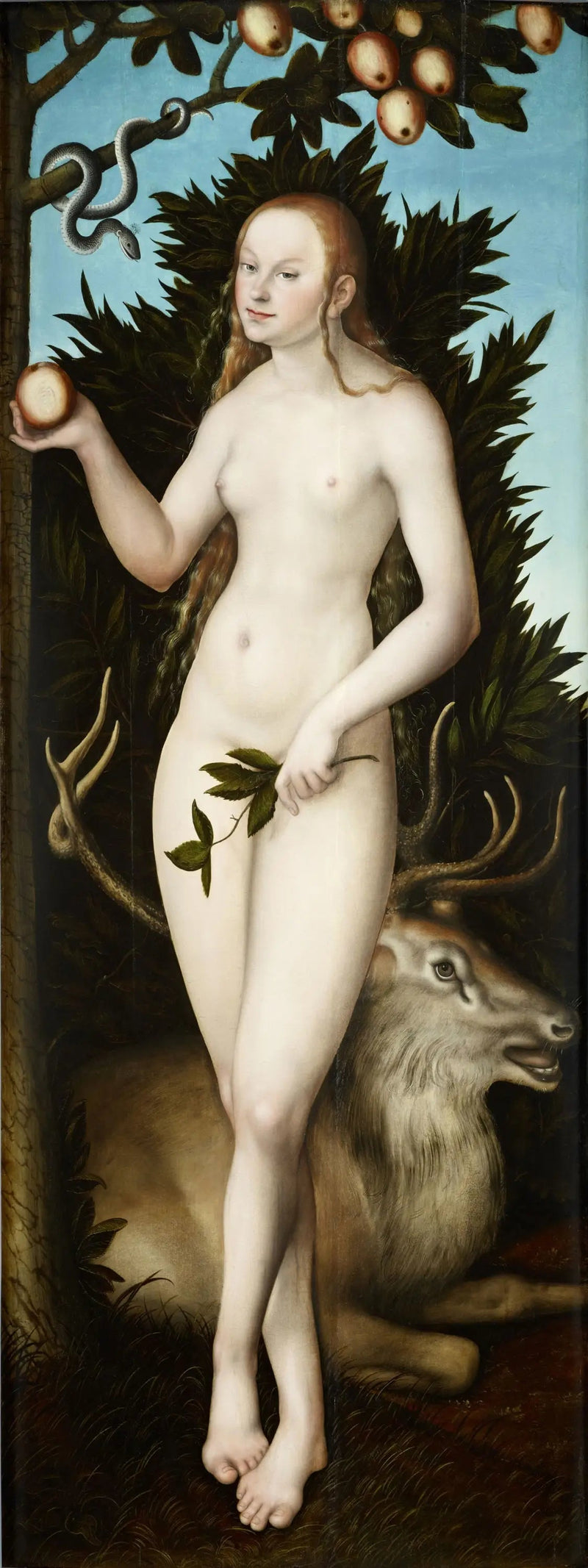 Veille - Lucas Cranach vanhempi