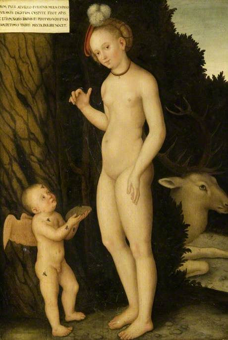 Venus ja Kupidon hunajaa varastava - Lucas Cranach vanhempi