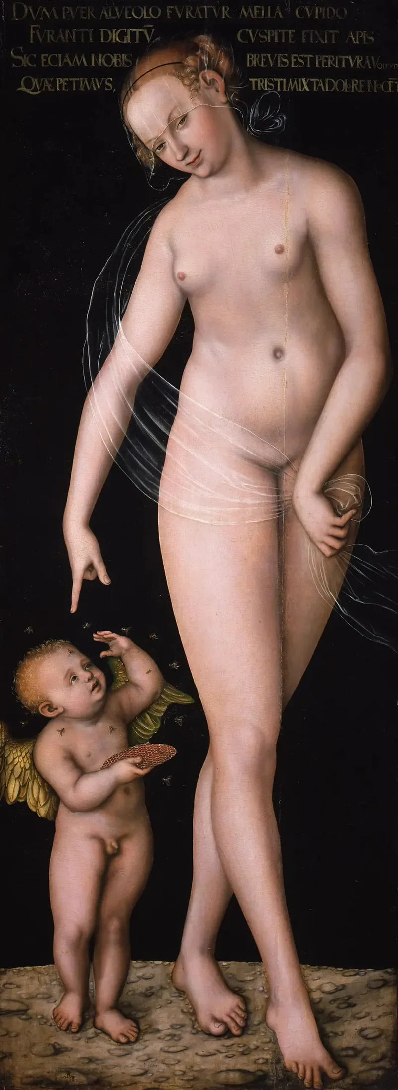 Venus ja Kupidon hunajaa varastava - Lucas Cranach vanhempi