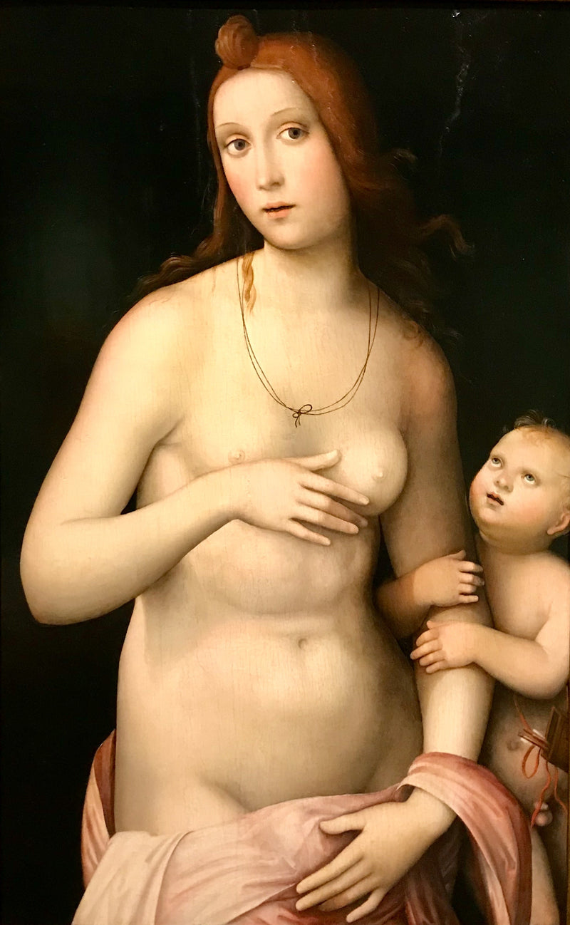 Venus ja Cupido - Francesco Francia