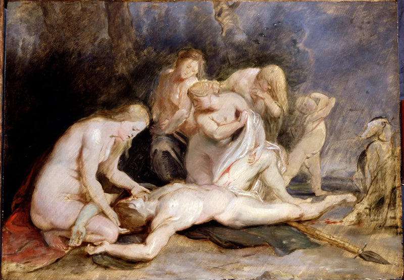 Venus itkee Adonista - Peter Paul Rubens