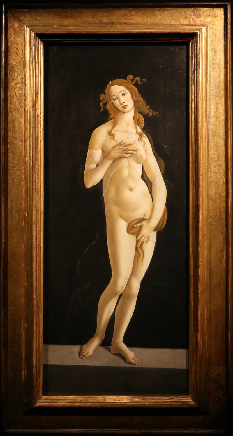 Venus paljain jaloin - Sandro Botticelli