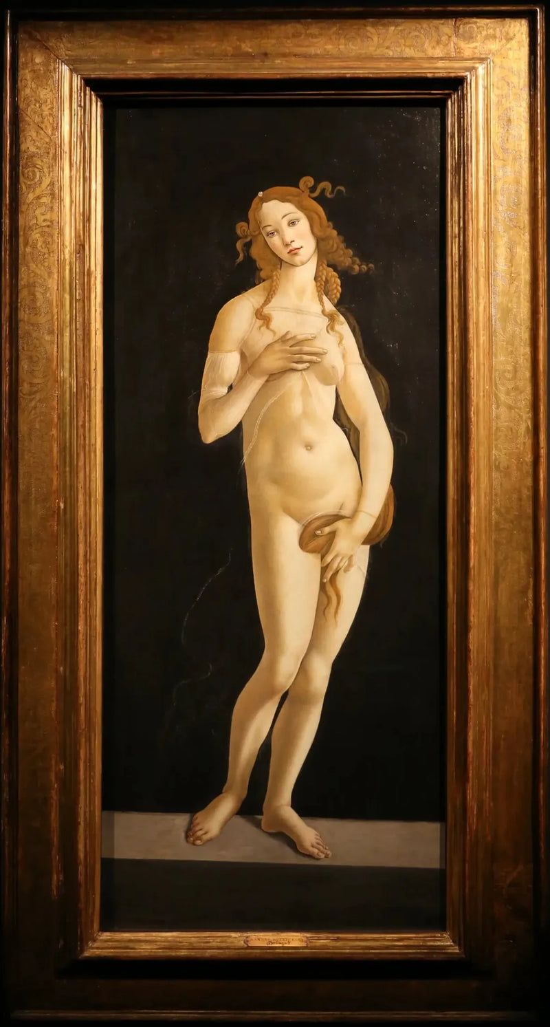 Venus paljain jaloin - Sandro Botticelli