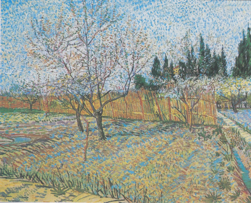 Cypressilla varustettu puutarha - Vincent van Gogh