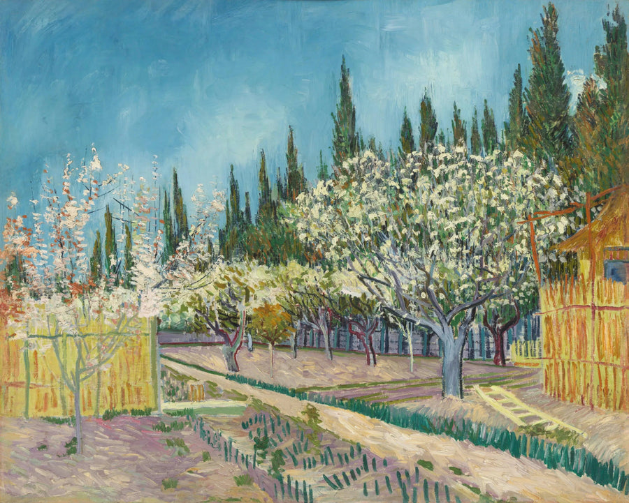 Kukkiva hedelmätarha, sypressien reunustama - Vincent van Gogh