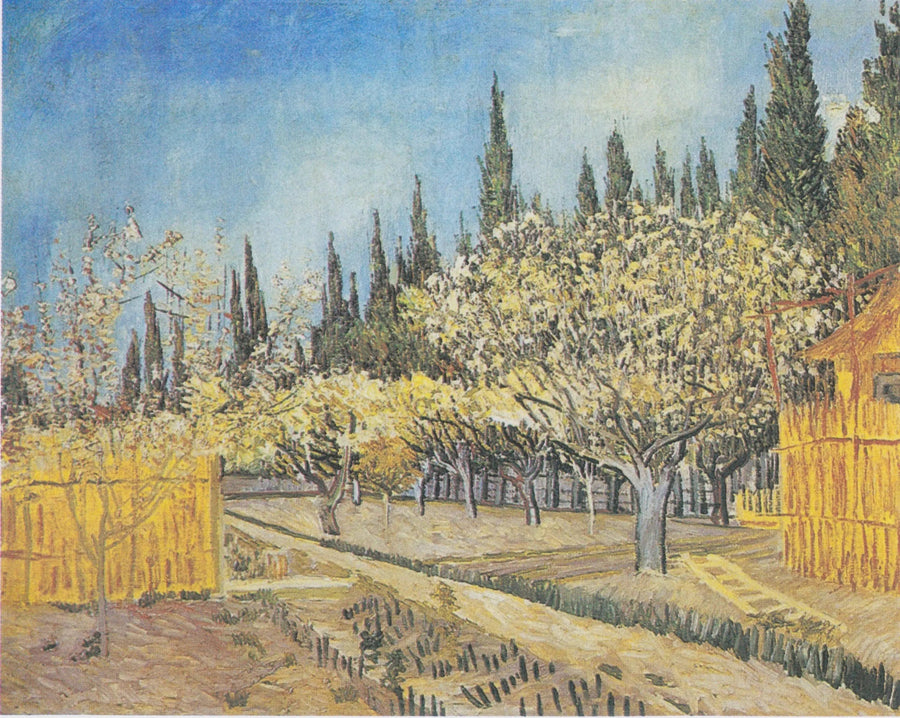 Kukkiva hedelmätarha, sypressien reunustama - Vincent van Gogh
