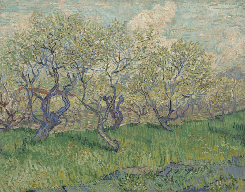 Kukkiva hedelmätarha - Vincent van Gogh