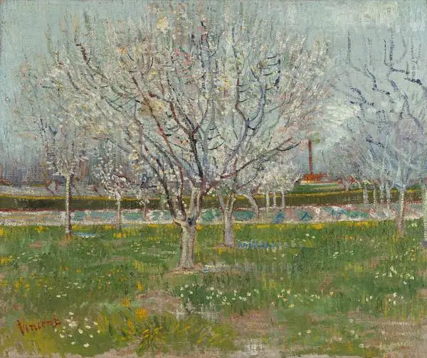 Kukkiva hedelmätarha - Vincent van Gogh