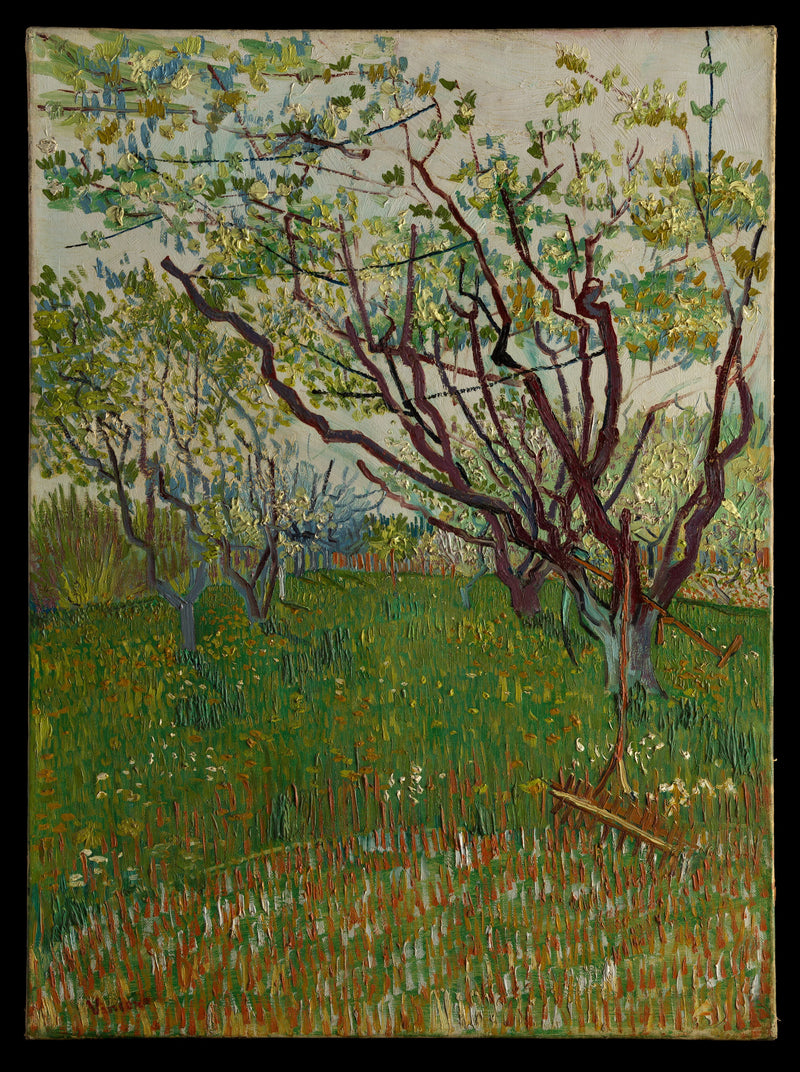 Kukkiva hedelmätarha - Vincent van Gogh