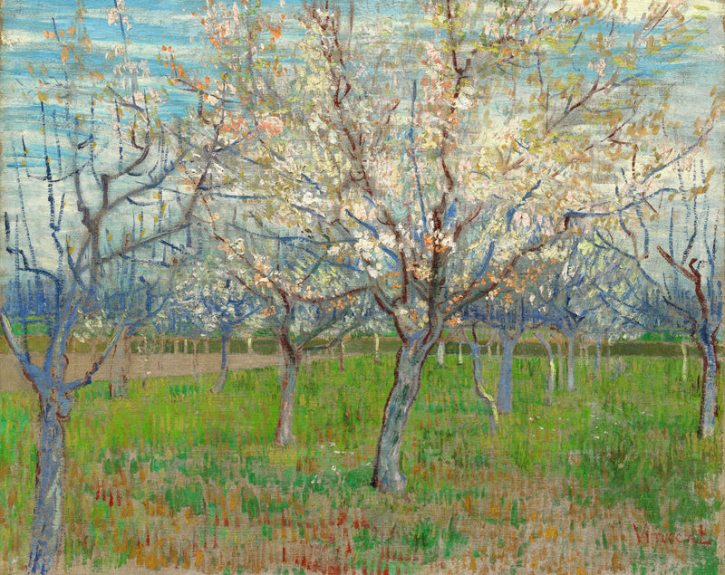 Vaaleanpunainen omenatar - Vincent van Gogh