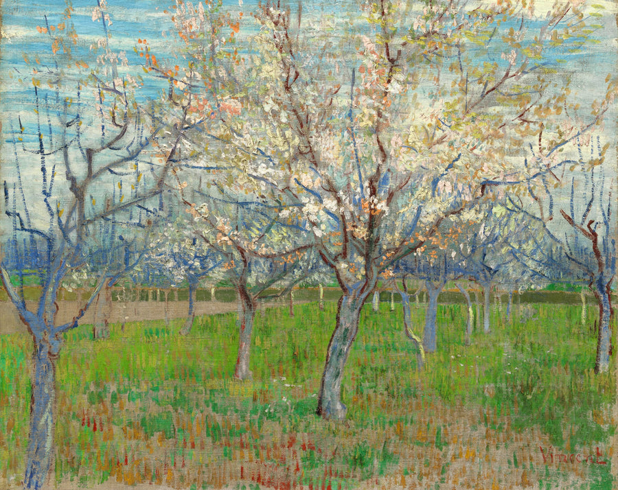 Vaaleanpunainen omenatar - Vincent van Gogh