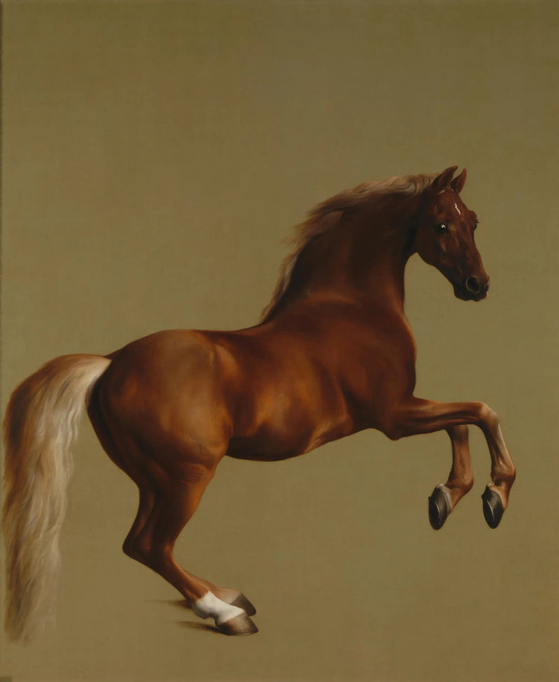 Sifflantti-haalari - George Stubbs