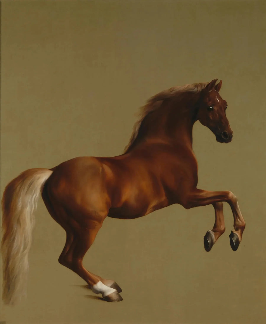 Sifflantti-haalari - George Stubbs
