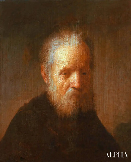 Vieil homme à la barbe - Rembrandt van Rijn - Reproductions de tableaux et peintures haut de gamme