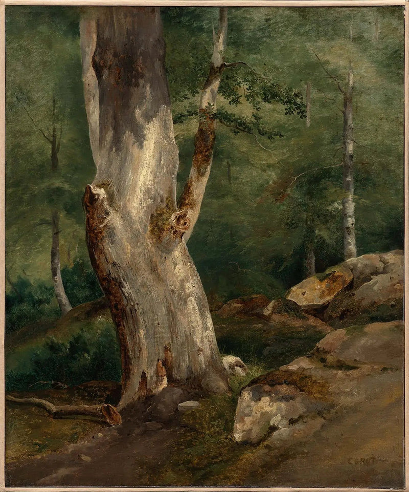 Vanha kastanja - Jean-Baptiste Camille Corot