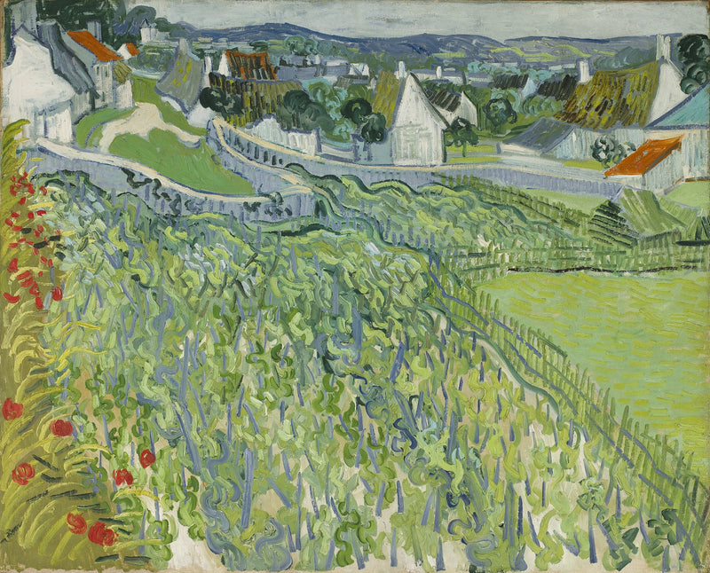 Auversin viinitarhat - Vincent van Gogh