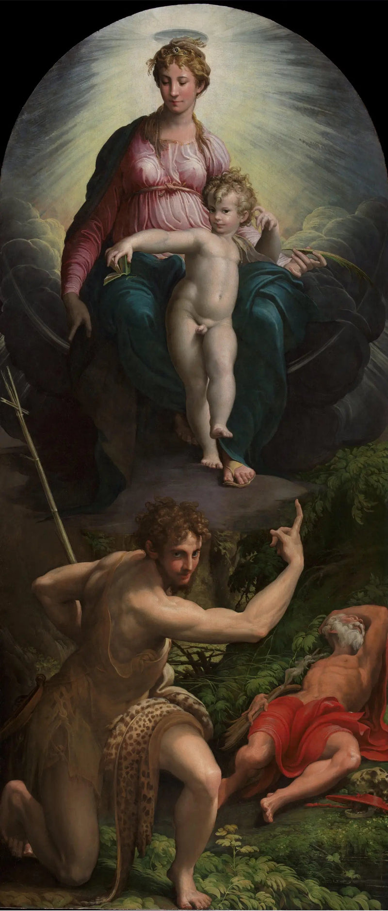 Pyhän Jeronímin näkemys - Parmigianino