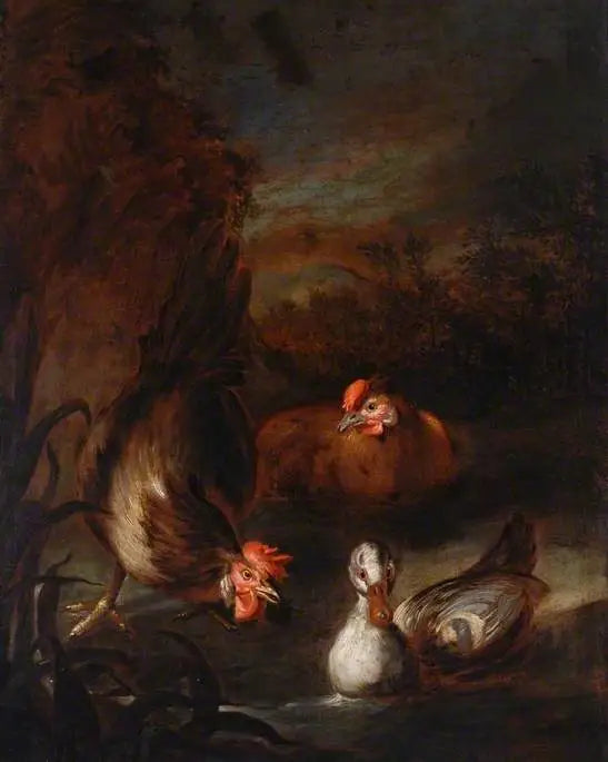 Siipikarja - Melchior de Hondecoeter