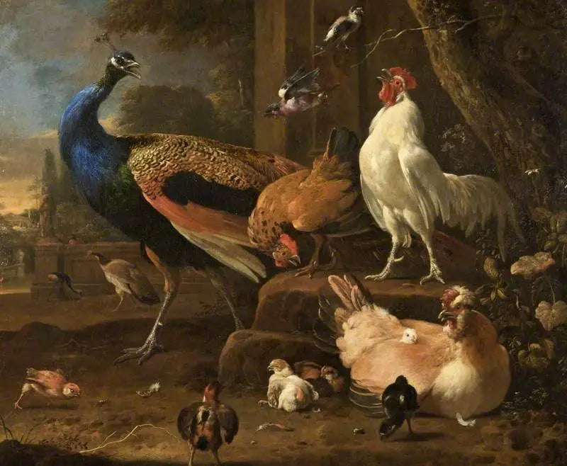 Siipikarja - Melchior de Hondecoeter