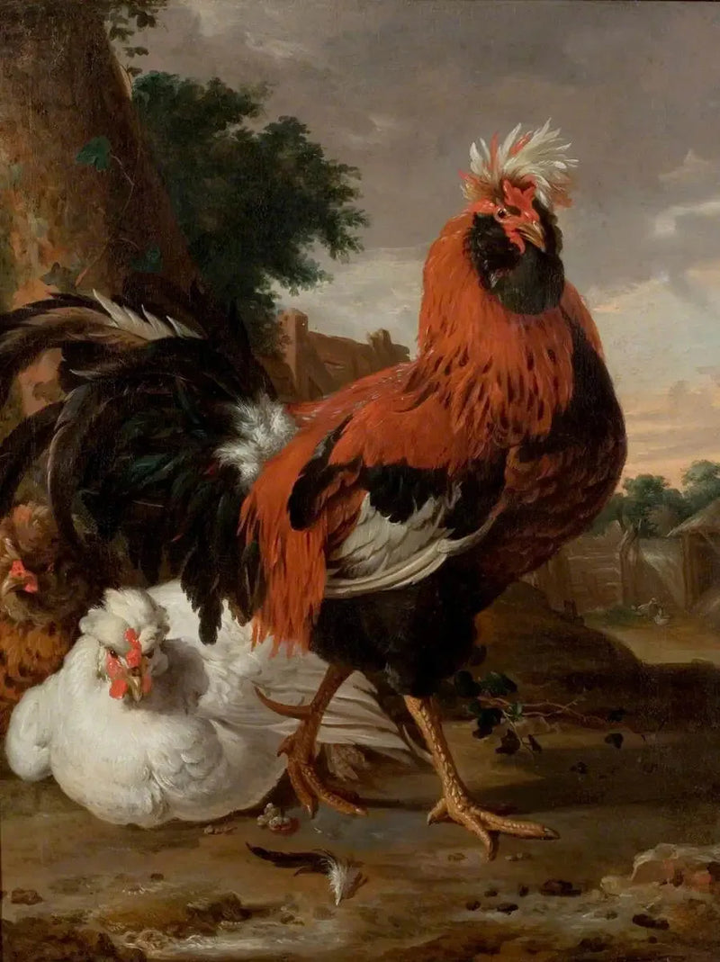 Siipikarja - Melchior de Hondecoeter