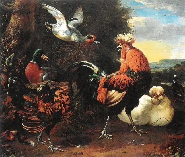 Siipikarja - Melchior de Hondecoeter