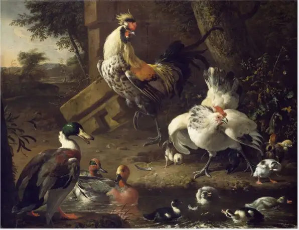 Siipikarja - Melchior de Hondecoeter