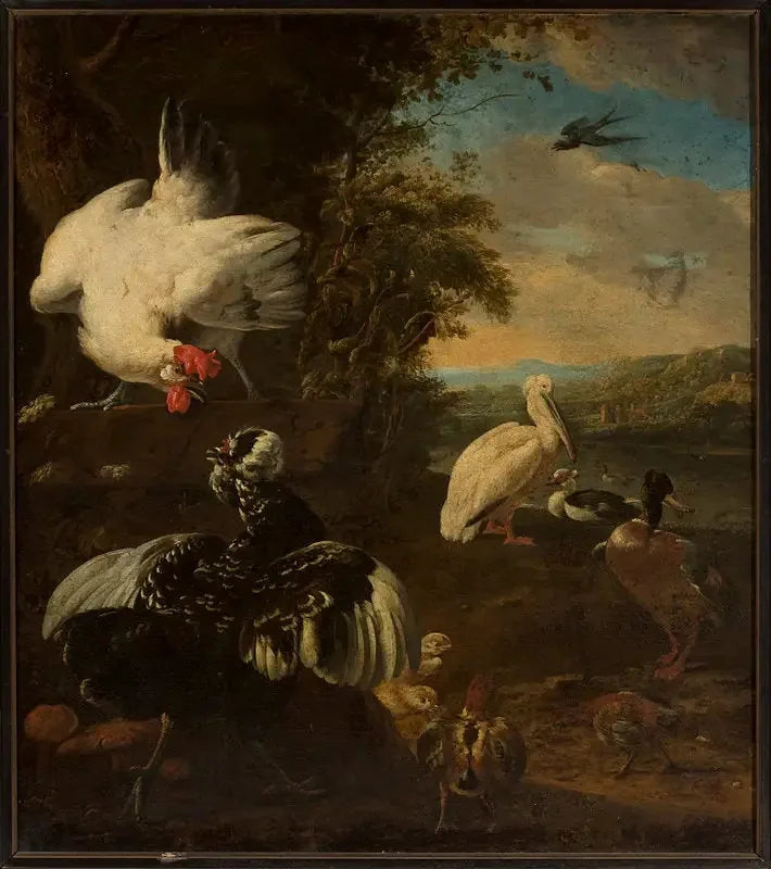 kotieläimet - Melchior de Hondecoeter
