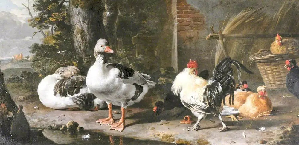 Volailles et oies - Melchior de Hondecoeter - Alpha Reproduction