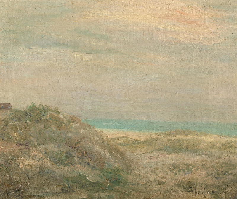 Rannikkonäkymä - Julian Onderdonk