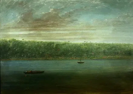 Amazonjoen rannasta näkymä - Laivapiirros - George Catlin