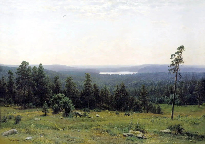 Kaukaiset näkymät metsästä - Ivan Chichkine