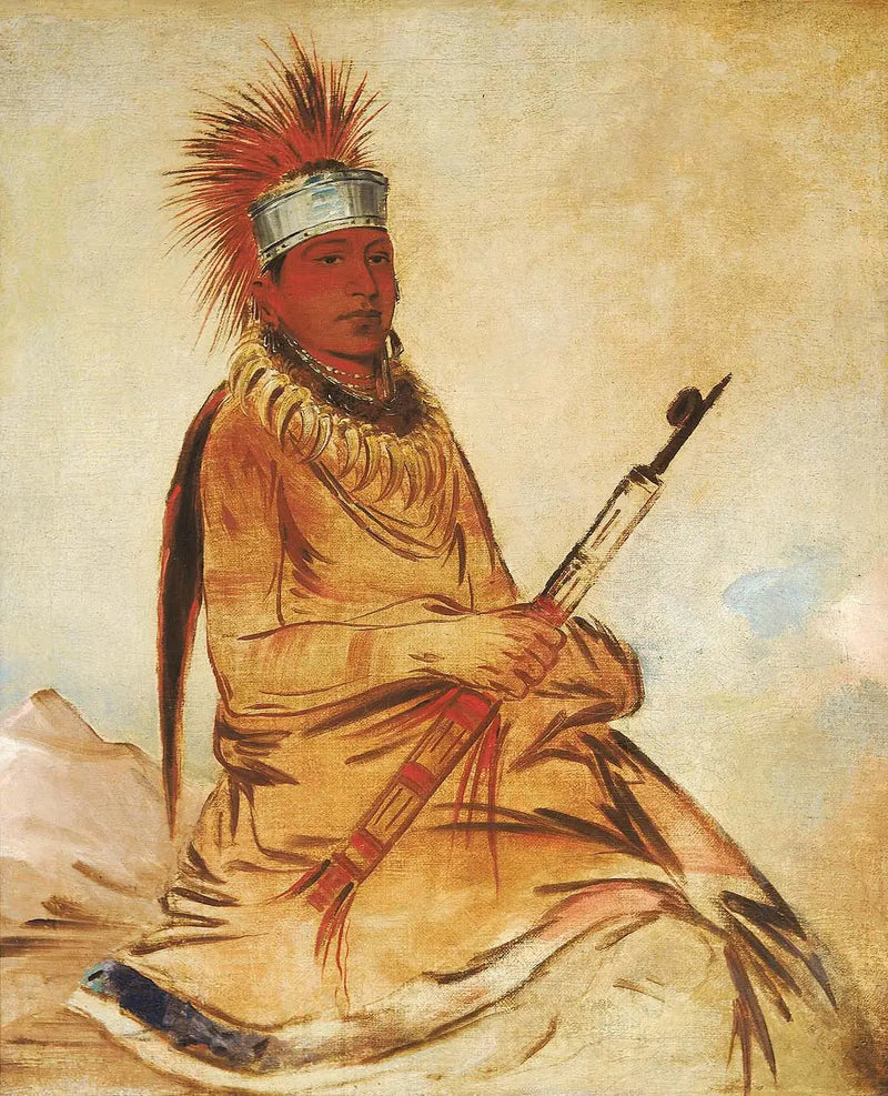 W'y-ee-yogh, järkevä mies, rehellinen - George Catlin