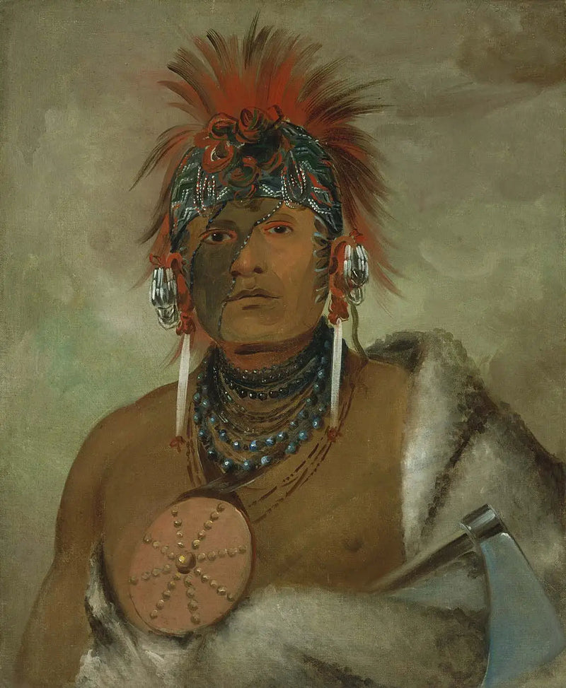 Wá-hón-ga-shee, Ei hullu, suuri idiootti - George Catlin