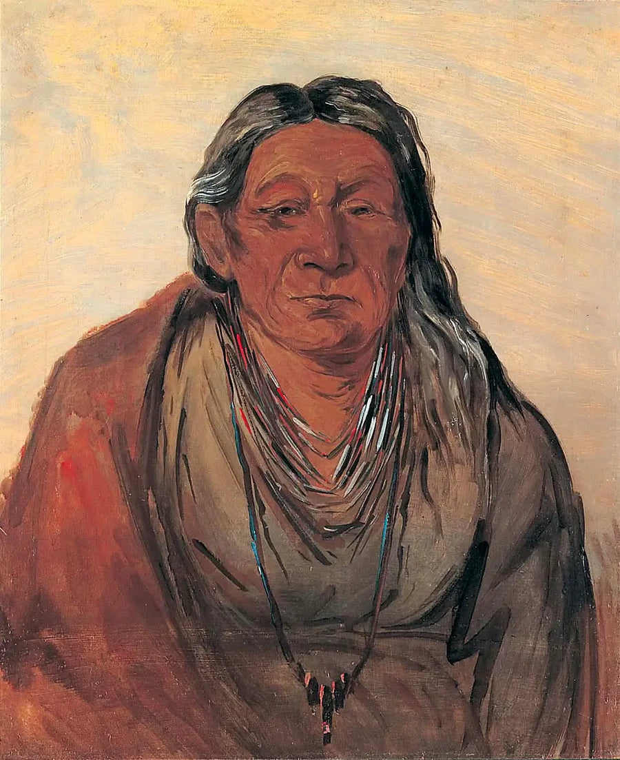 Wah-pe-séh-see, Päällikön äiti - George Catlin