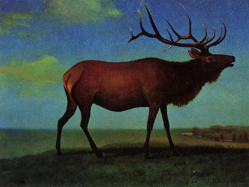 Wapiti uros - Albert Bierstadt