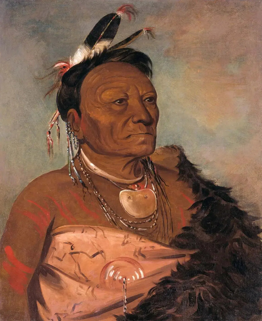 Wee-tá-ra-shá-ro, johtaja heimon - George Catlin