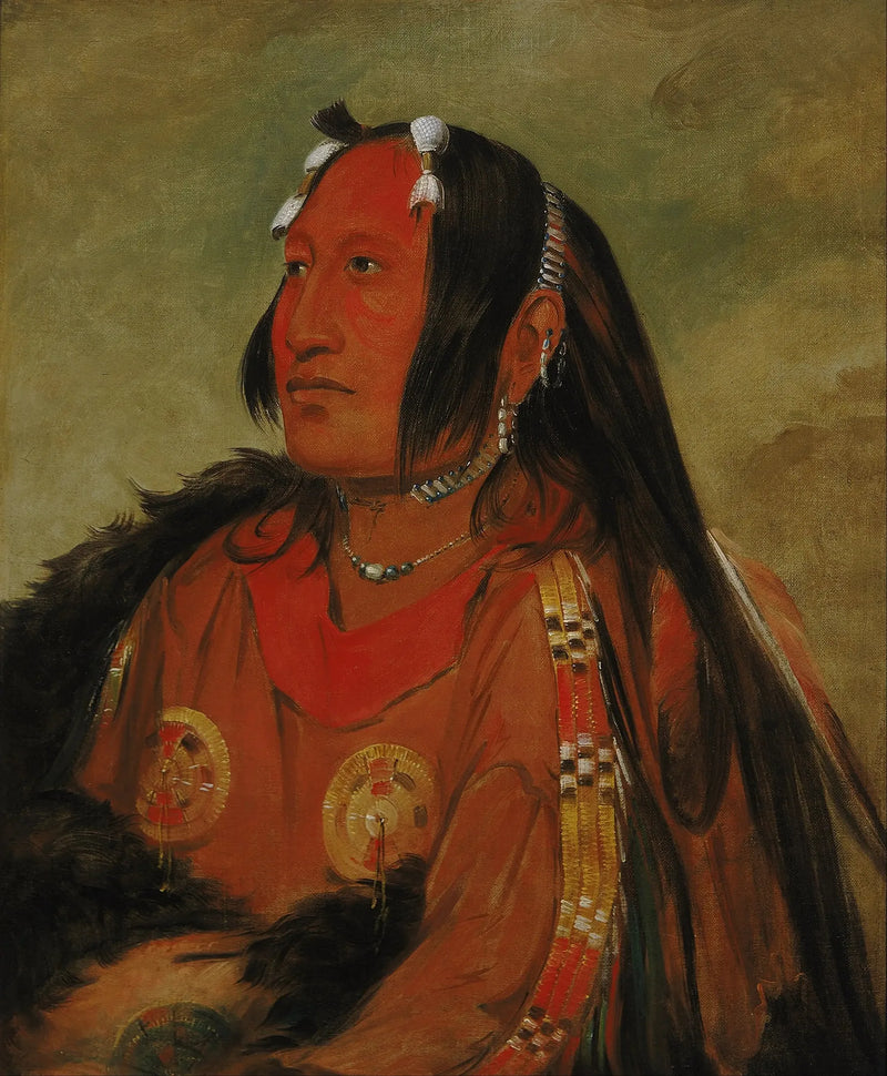 Wi-jún-jon, Peltotäytteen pääkallo (La Lumière), nuori soturi - George Catlin
